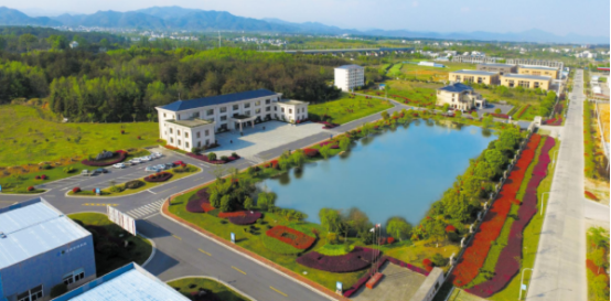 1674013249780259.jpg 1670049828264.jpg