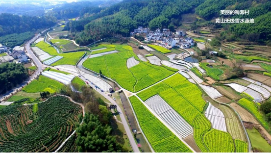 1676102872535036.png image.png